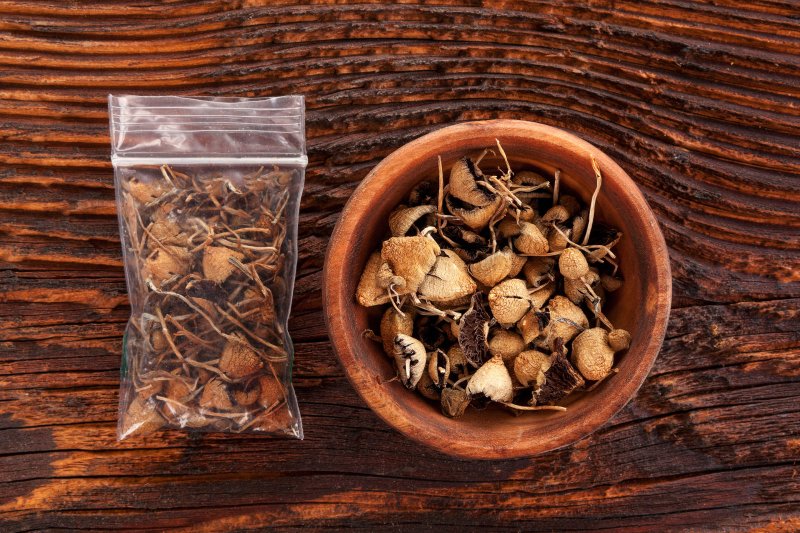 Sprengstoff fürs Gehirn – Wie Psilocybin bei therapieresistenter Depression helfen kann